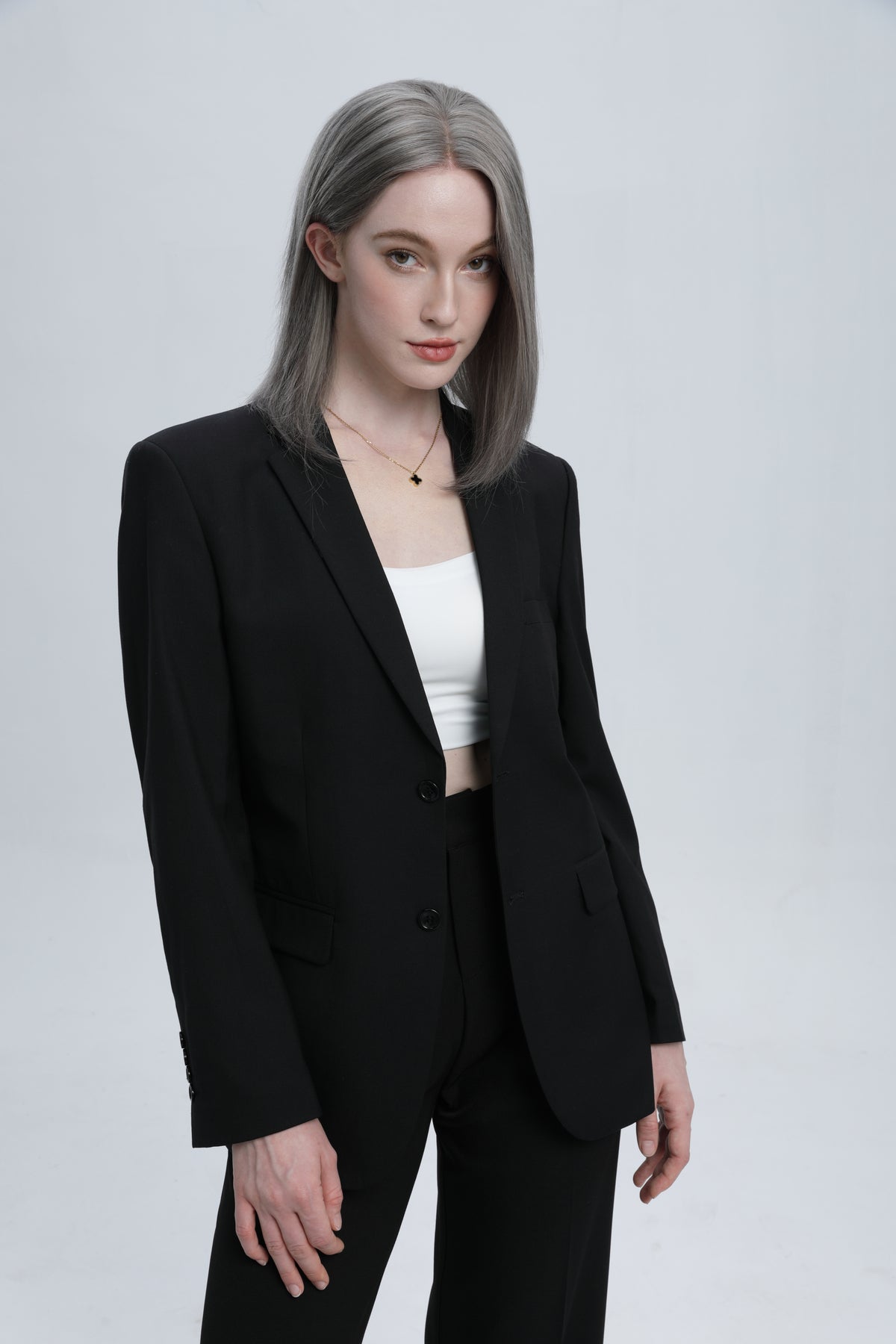 Gunpowder | Dark Grey Salt and Pepper with Silver Highlights