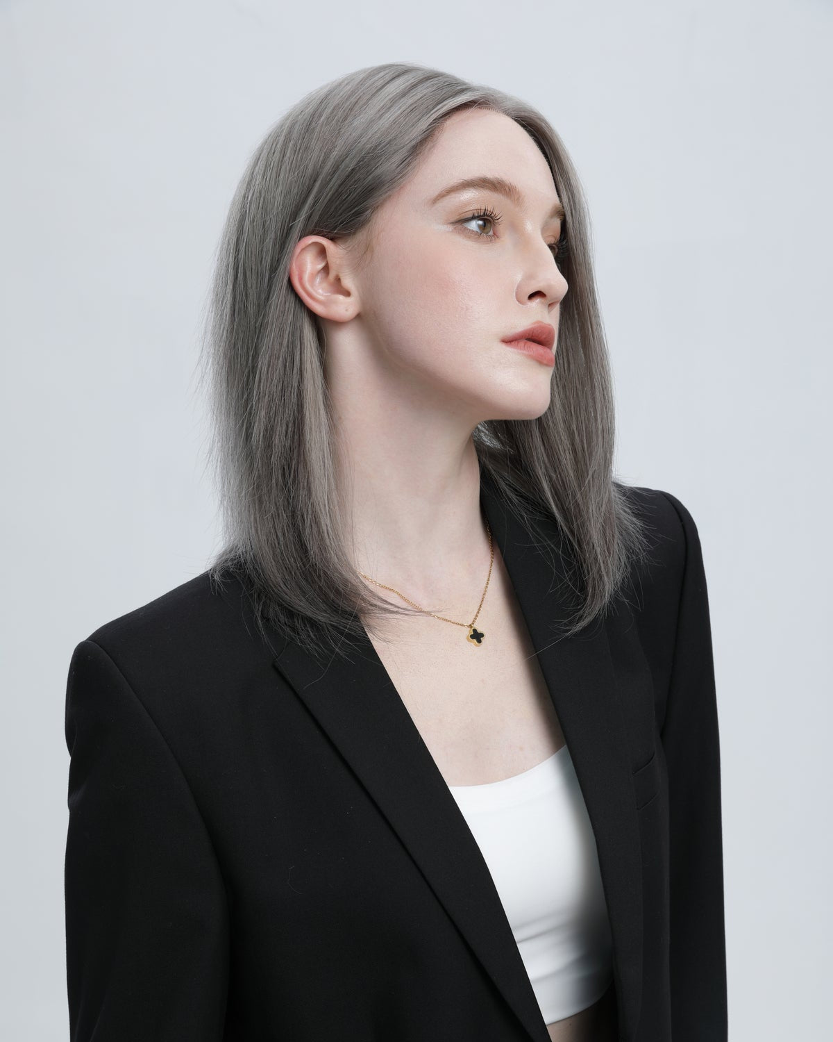 Gunpowder | Dark Grey Salt and Pepper with Silver Highlights